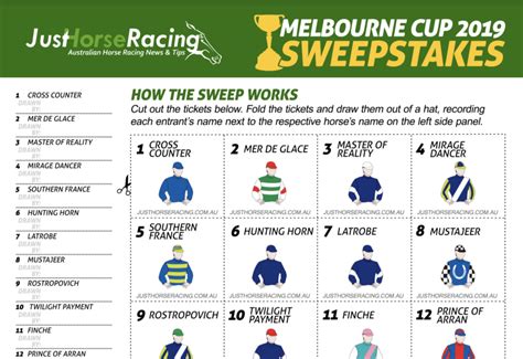 Melbourne Cup Sweep 2024 .